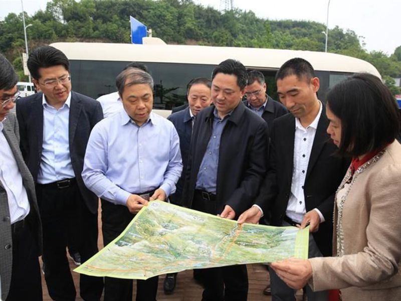 BB贝博艾弗森园林绿化维护