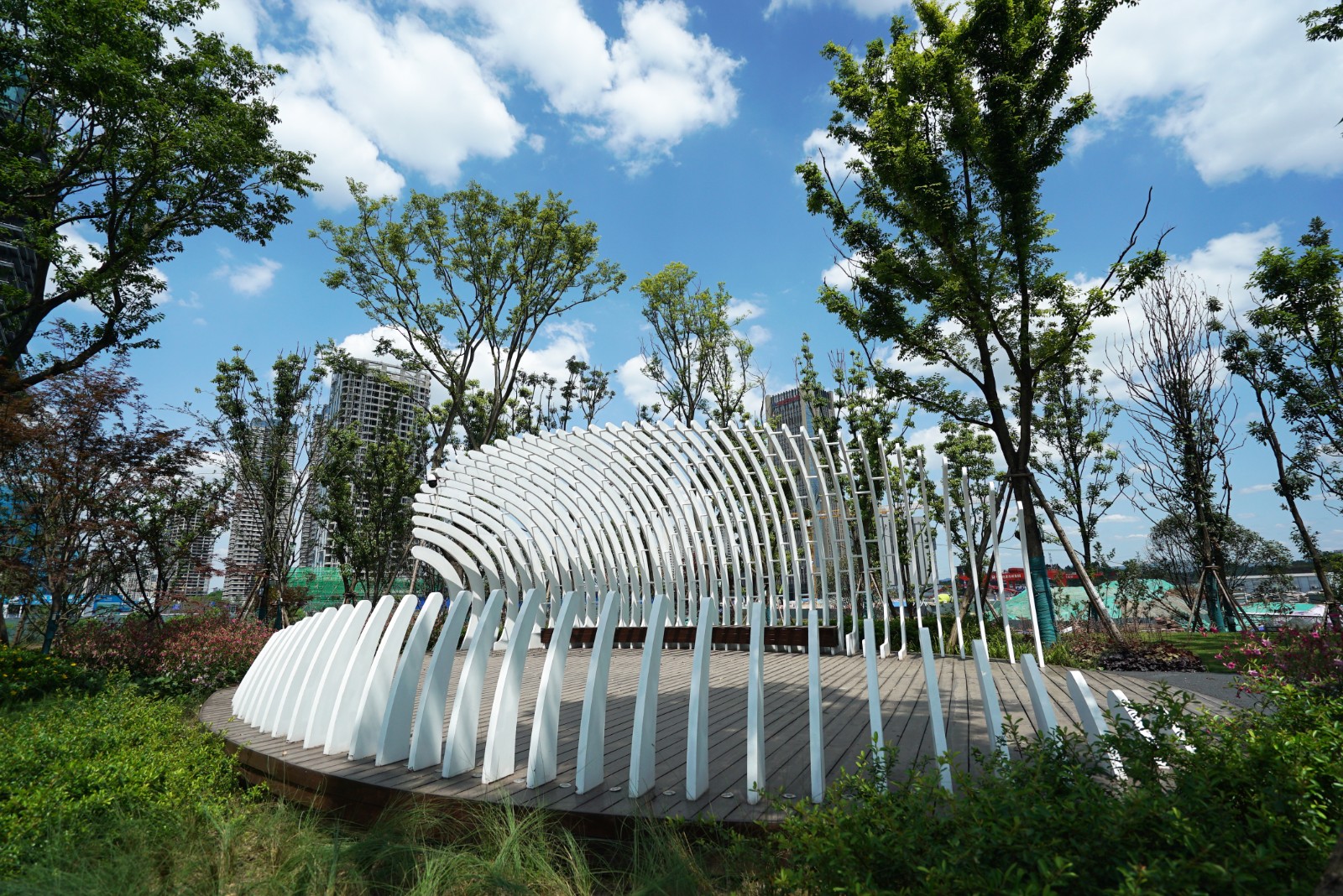 BB贝博艾弗森园林绿化维护